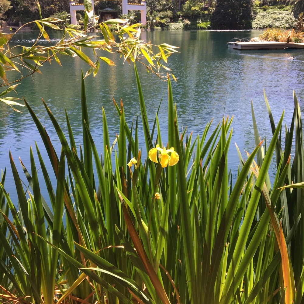 Meet your Posher, Dmitry